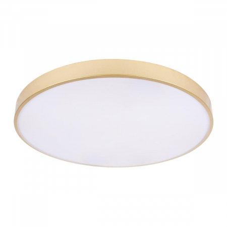 Потолочный светильник Loft IT Flims 10228/B
