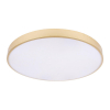 Потолочный светильник Loft IT Flims 10228/B