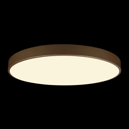 Потолочный светильник Loft IT Flims 10228/B