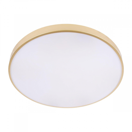 Потолочный светильник Loft IT Flims 10228/B