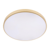 Потолочный светильник Loft IT Flims 10228/B