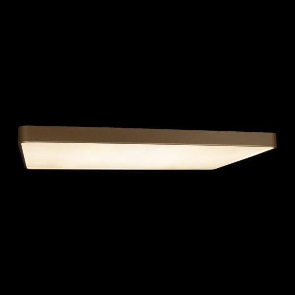Потолочный светильник Loft IT Flims 10228/E