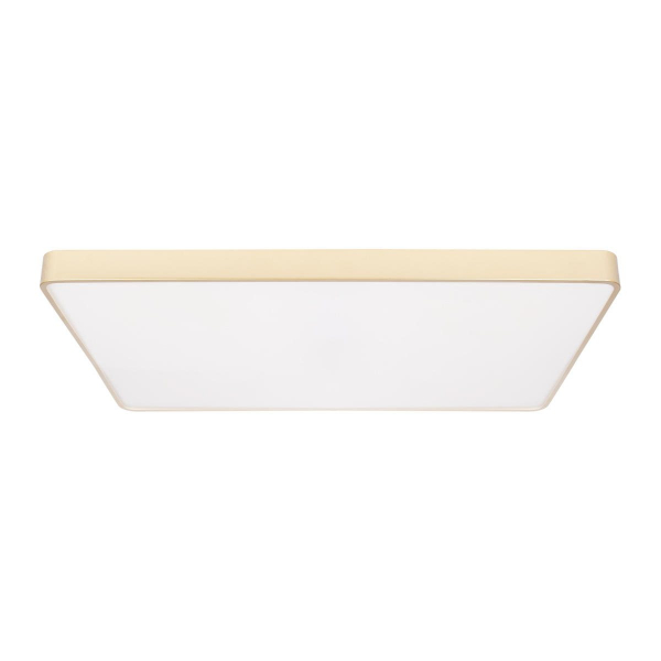 Потолочный светильник Loft IT Flims 10228/E
