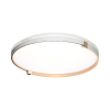 Настенно-потолочный светильник Sonex Olidi white 7646/EL