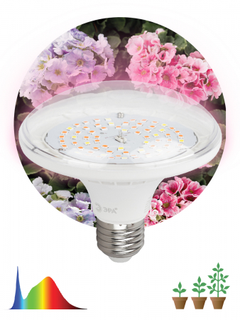 Фитолампа для растений светодиодная Эра E27 18W 6500K FITO-18W-Ra90-E27 Б0057710