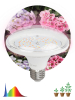 Фитолампа для растений светодиодная Эра E27 18W 6500K FITO-18W-Ra90-E27 Б0057710