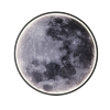 Настенно-потолочный светильник Escada Planet 10226/SG LED Moon