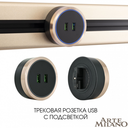 Трековая розетка Arte Milano Am-track-sockets 380066TS LED/USBx2 Gold