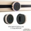 Трековая розетка Arte Milano Am-track-sockets 380066TS LED/USBx2 Gold