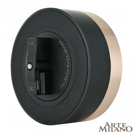 Трековая розетка Arte Milano Am-track-sockets 380066TS LED/USB-Type-C Gold