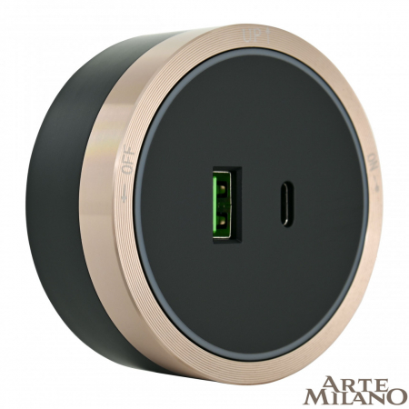 Трековая розетка Arte Milano Am-track-sockets 380066TS LED/USB-Type-C Gold