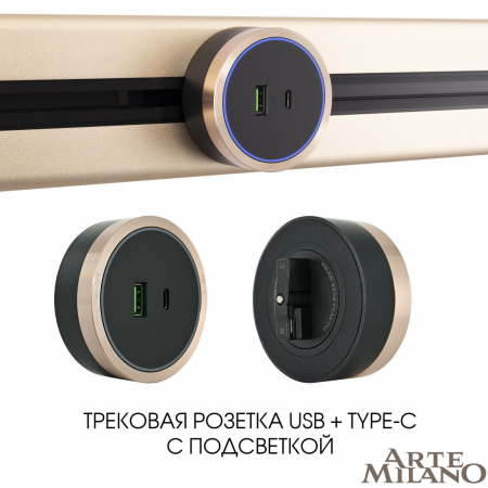 Трековая розетка Arte Milano Am-track-sockets 380066TS LED/USB-Type-C Gold