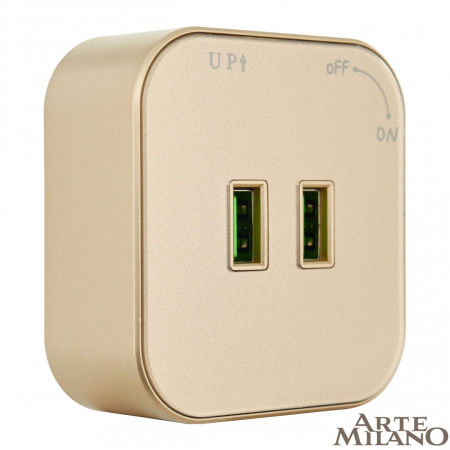 Трековая розетка Arte Milano Am-track-sockets 380022TS/USBx2 Gold