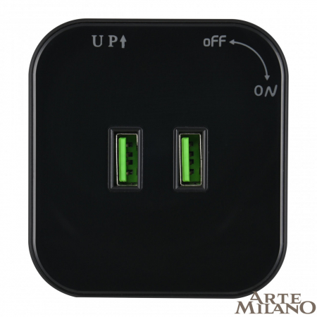 Трековая розетка Arte Milano Am-track-sockets 380022TS/USBx2 Black