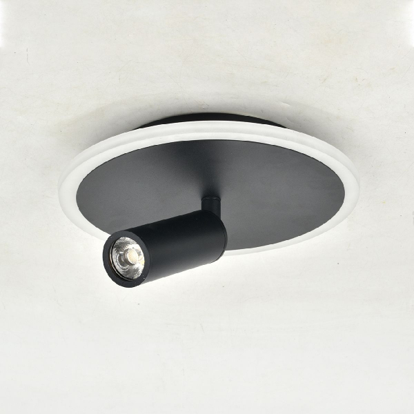 Настенно-потолочный светильник Escada 20046SMA/01LED BK