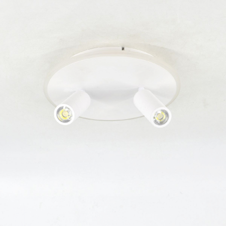 Настенно-потолочный светильник Escada 20046SMA/02LED WH