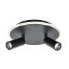 Настенно-потолочный светильник Escada 20046SMA/02LED BK