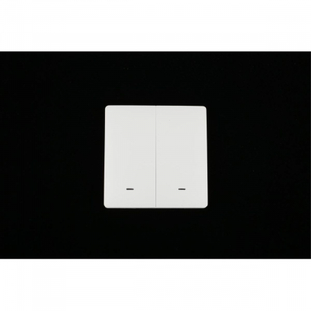 Выключатель двухклавишный Aployt Magnetic track 220 APL.0190.00.02