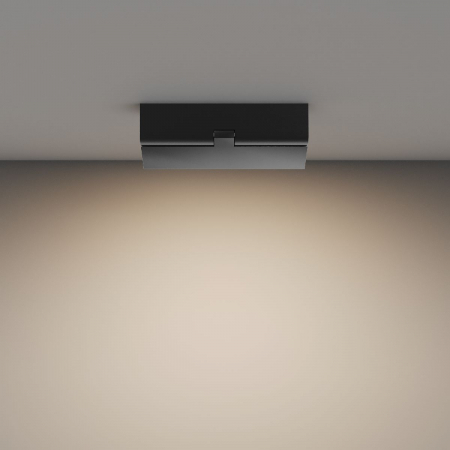 Настенно-потолочный светильник Maytoni Basis Rot C133CL-12W3K-B