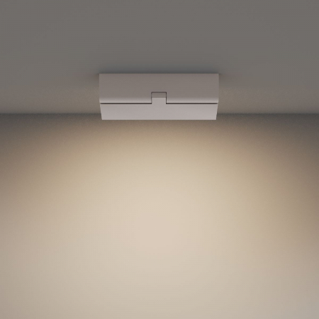 Настенно-потолочный светильник Maytoni Basis Rot C133CL-12W3K-W