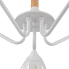 FR5138PL-05W