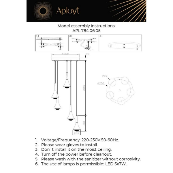 APL.784.06.05