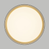 Потолочный светильник Citilux Boss CL751351G