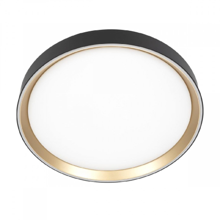 Потолочный светильник Citilux Boss CL751351G