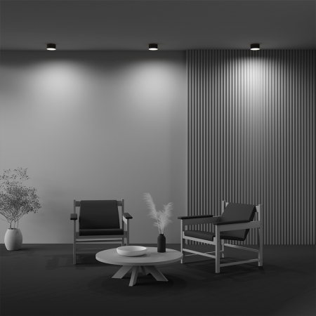 Потолочный светодиодный светильник Maytoni Technical Ceiling & Wall Zon C032CL-12W3K-RD-B