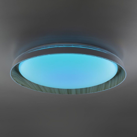 Потолочный светильник Citilux Mega CL752452G