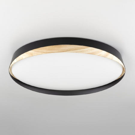 Потолочный светильник Citilux Bonny CL754451G