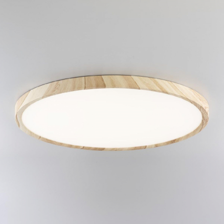 Потолочный светильник Citilux Бейсик CL738322V