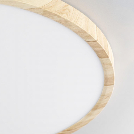 Потолочный светильник Citilux Бейсик CL738322V