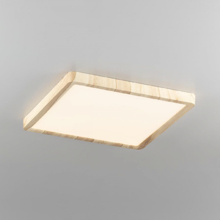 Потолочный светильник Citilux Бейсик CL738K242V