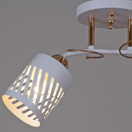 Потолочный светильник Reluce 08235-0.3-02 WT+FG