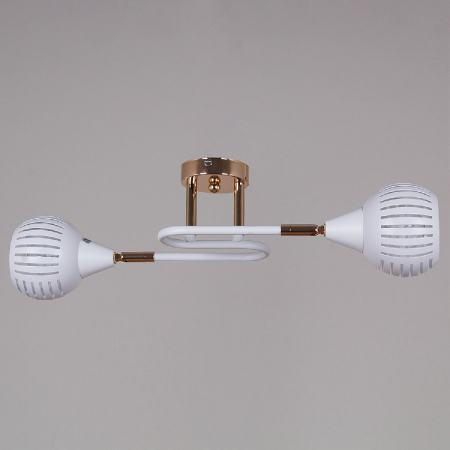 Потолочный светильник Reluce 70059-3.3-02 FG+WH