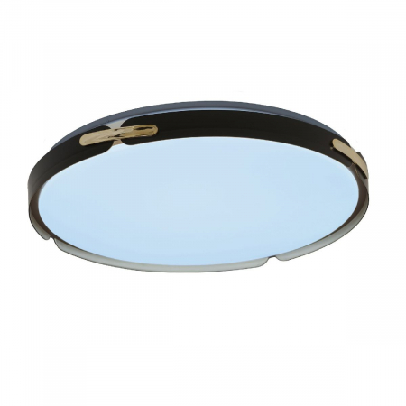 Потолочный светильник Lumina Deco Paneli LDC 8063-48W BK