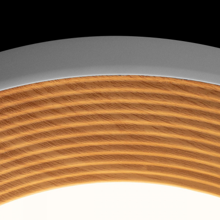 Потолочный светильник Loft IT Folk 10255/500 White