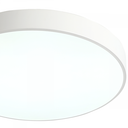 Потолочный светильник Zortes Tortty ZRS.02564.48