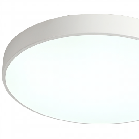 Потолочный светильник Zortes Tortty ZRS.02564.96