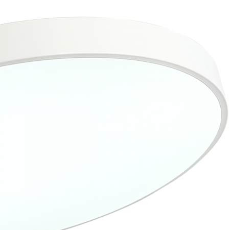 Потолочный светильник Zortes Tortty ZRS.02564.96