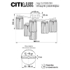 CL313261