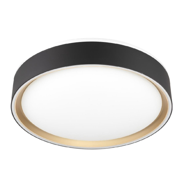 Потолочный светильник Citilux Boss CL751251G