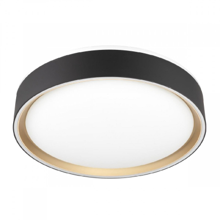 Потолочный светильник Citilux Boss CL751251G