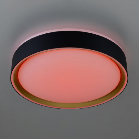 Потолочный светильник Citilux Boss CL751251G