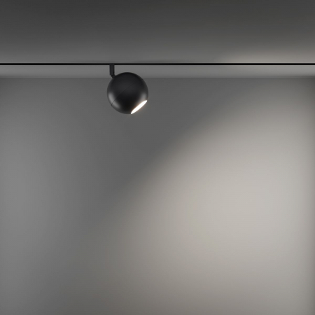 Трековый светильник Maytoni Technical Ball TR028-2-15W3K-B