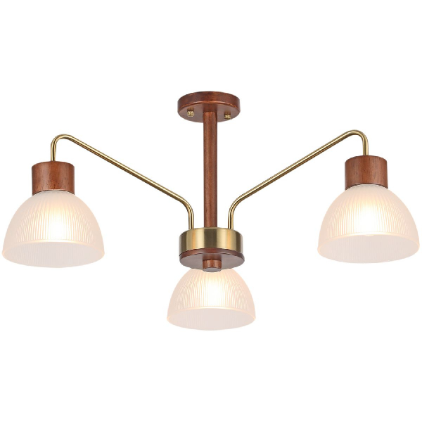 IL0286-3C-79 BR