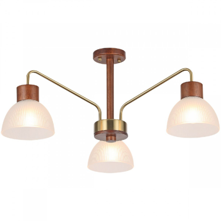 IL0286-3C-79 BR