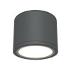 Накладной светильник Maytoni Rendo C095CL-GX53-GR