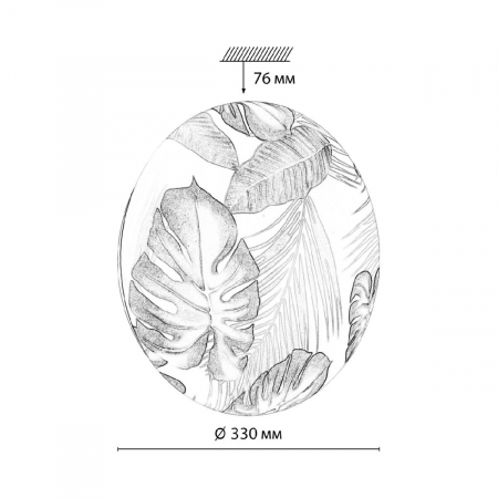 Потолочный светильник Sonex Pale Flori 7748/CL